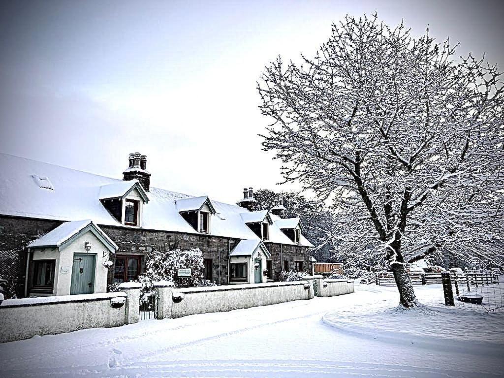 Rosemount Bothy - Highland Cottage ガーブ エクステリア 写真