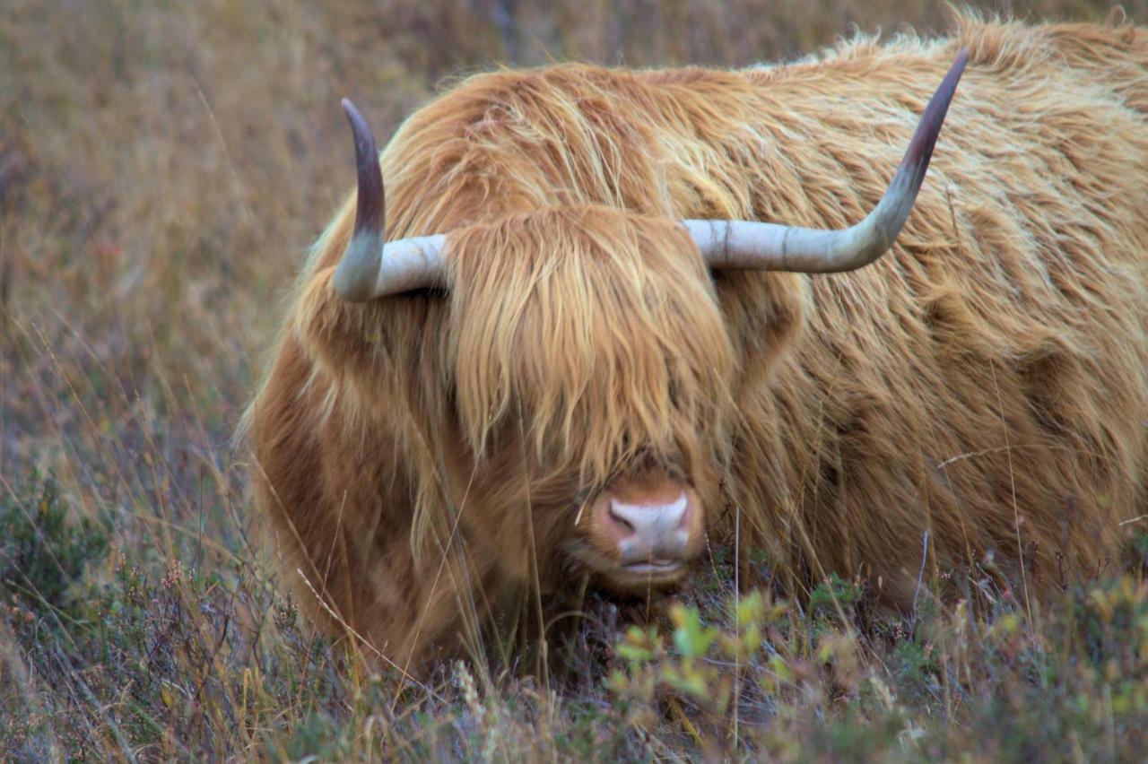 Rosemount Bothy - Highland Cottage ガーブ エクステリア 写真