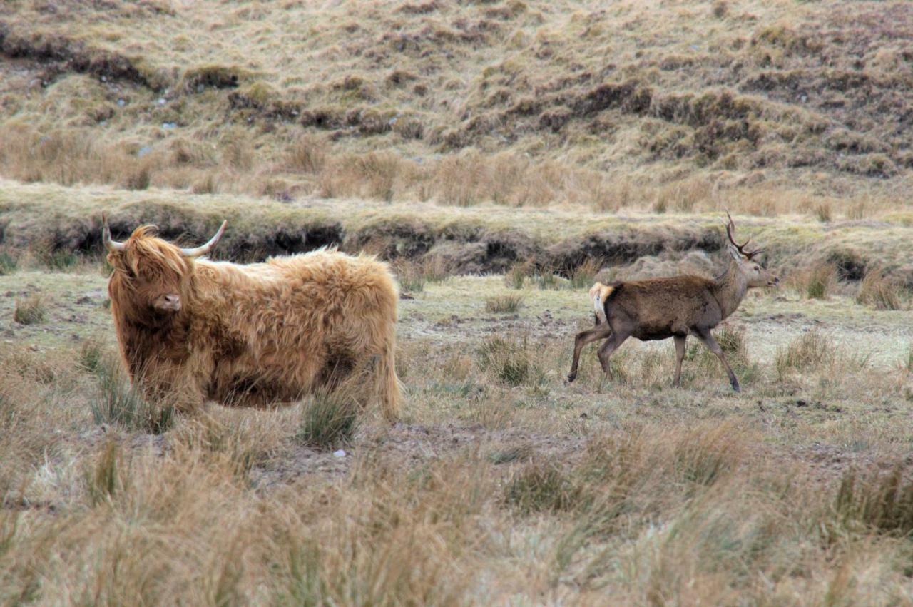 Rosemount Bothy - Highland Cottage ガーブ エクステリア 写真