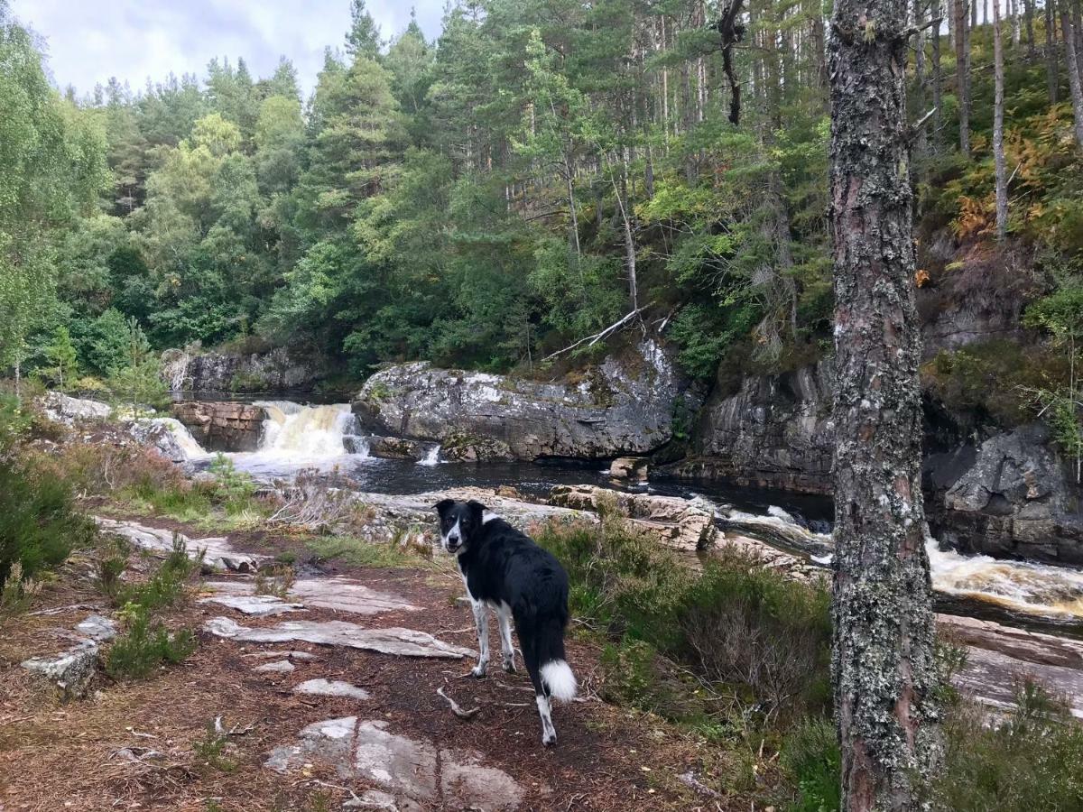 Rosemount Bothy - Highland Cottage ガーブ エクステリア 写真