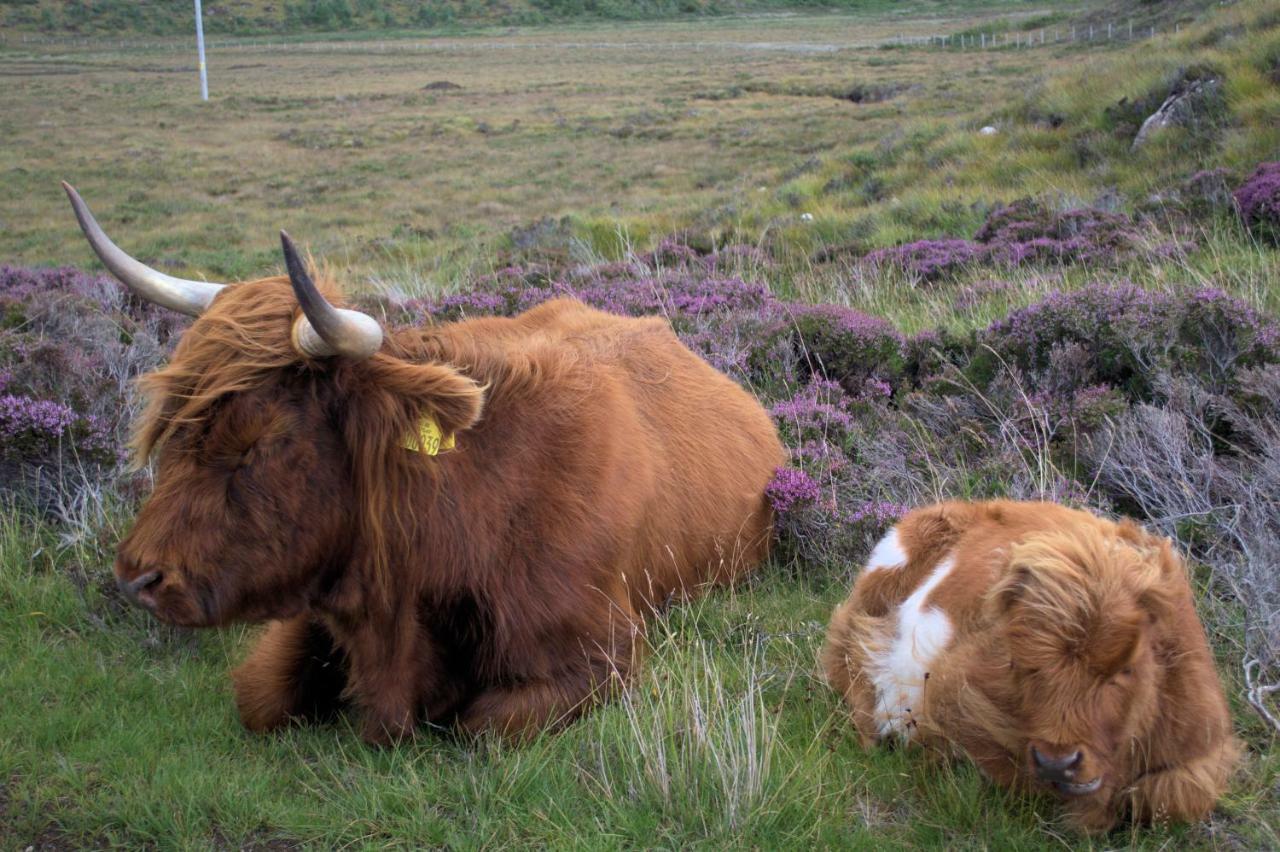 Rosemount Bothy - Highland Cottage ガーブ エクステリア 写真